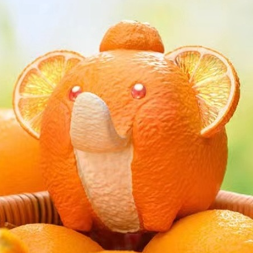 Animal Planet x dodowo 오렌지 코끼리