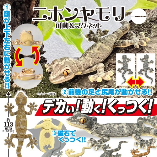 [입고완료]기담클럽 일본 도마뱀붙이 가동 &amp; 마그넷(캡슐)(옵션선택)